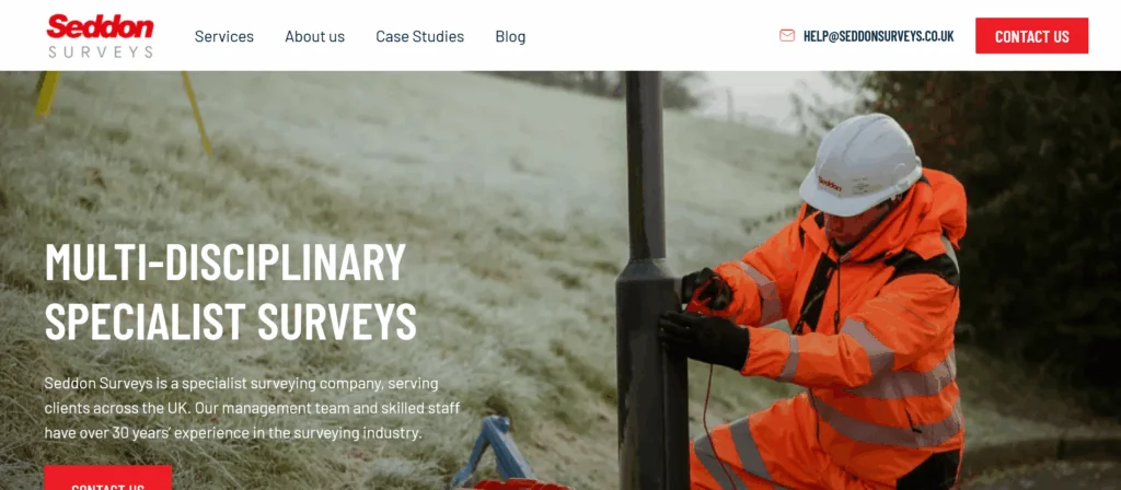 Seddon Surveys website by Tada